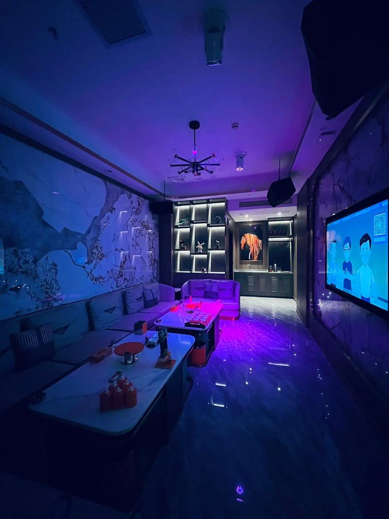 青岛商务ktv推荐商务ktv有哪些选择-胶州市ktv预定